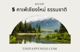 5 คาเฟเชียงใหม่ ธรรมชาติ 2025 วิวสวย บรรยากาศชิล