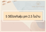 5 วิธีป้องกันฝุ่น pm 2.5 ในบ้าน
